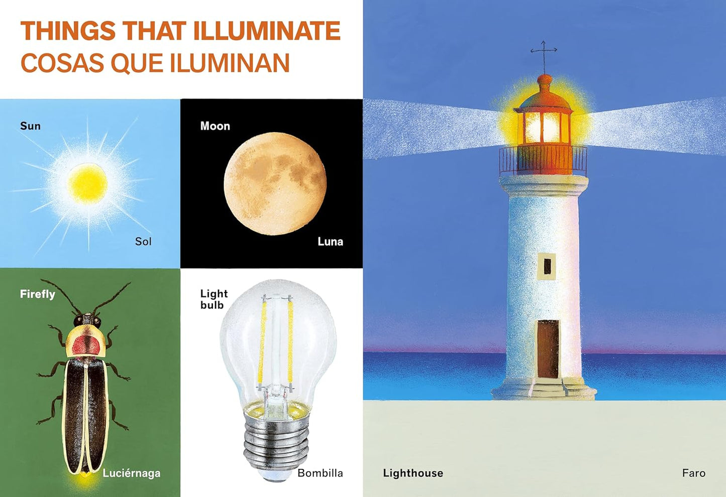 All Kinds of Things / Todo Tipo De Cosas