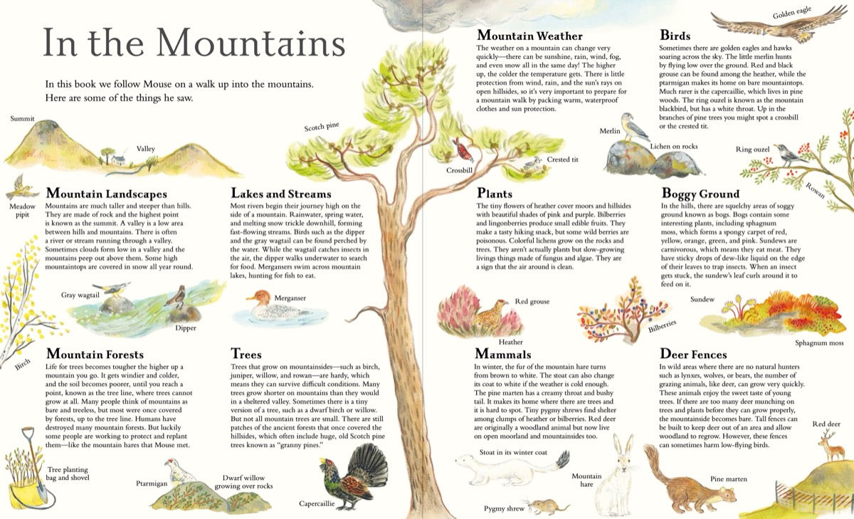 Mouse Goes to the Mountains: A Hike Through Nature - HARDBACK