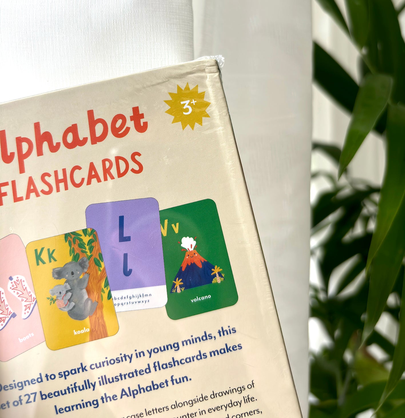 SECONDS - A-Z Illustrated Alphabet Flashcards