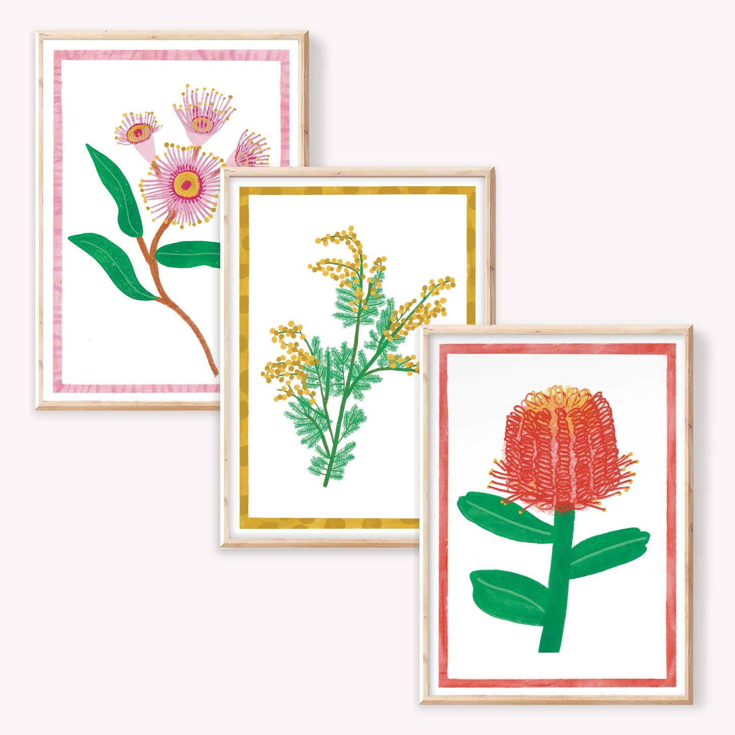 Australian Wildflower Art Print Bundle (A4)