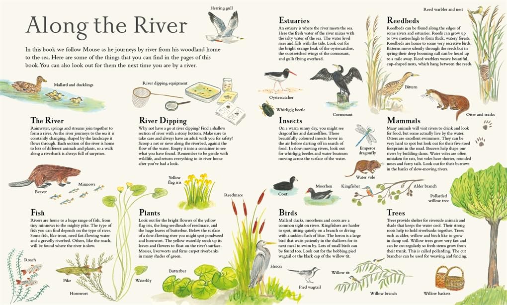 Mouse on the River: A Journey Through Nature - HARDBACK