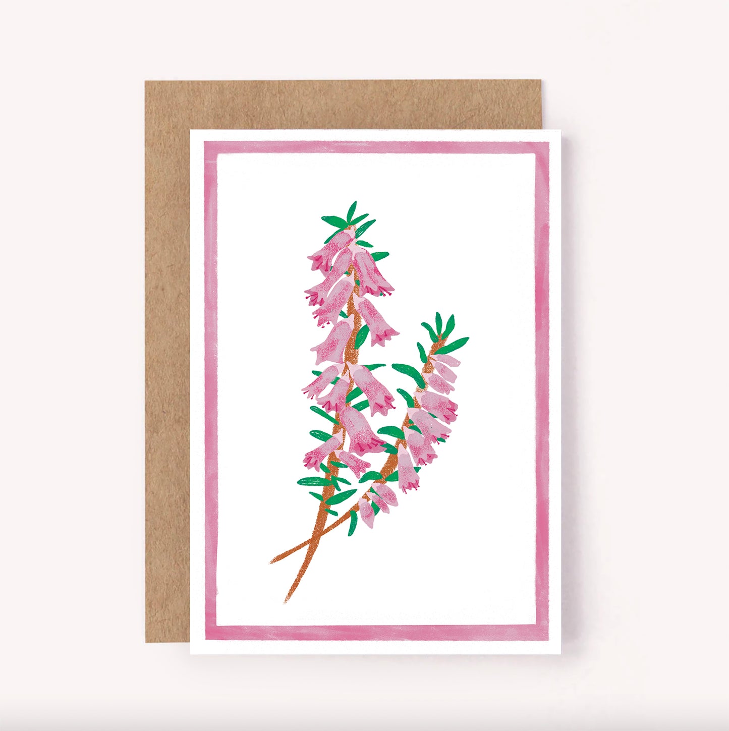 Heath Australian Wildflower Card - Illustrated Floral Card