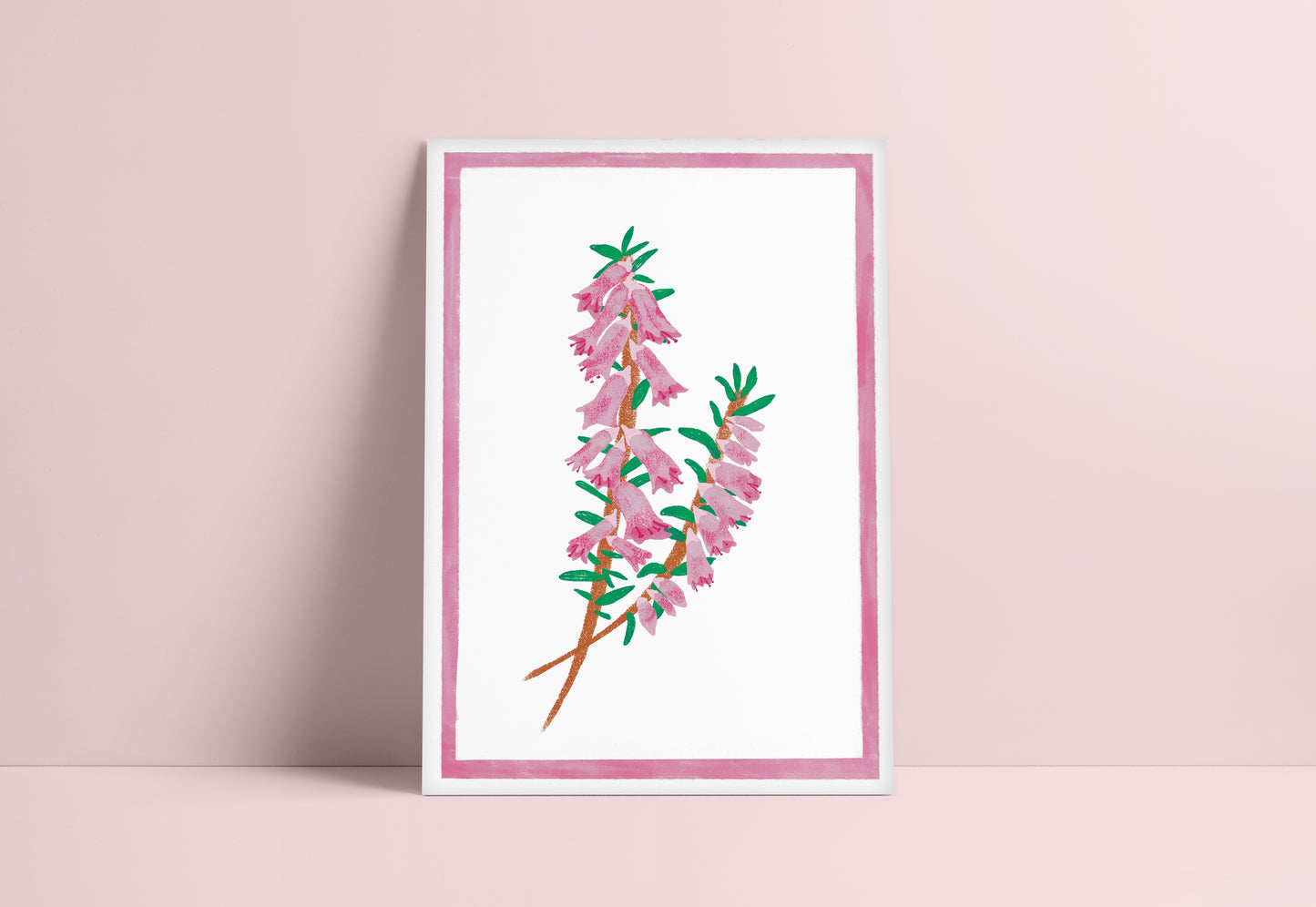 Australian Wild Flower Print - Heath