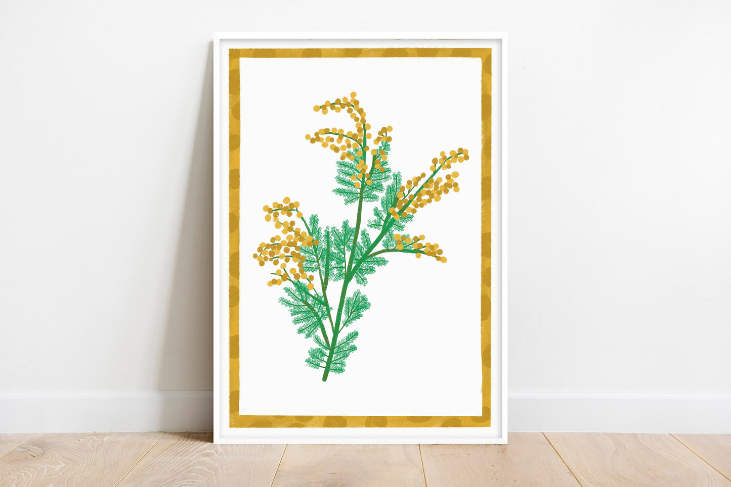 Australian Wildflower Print - Wattle