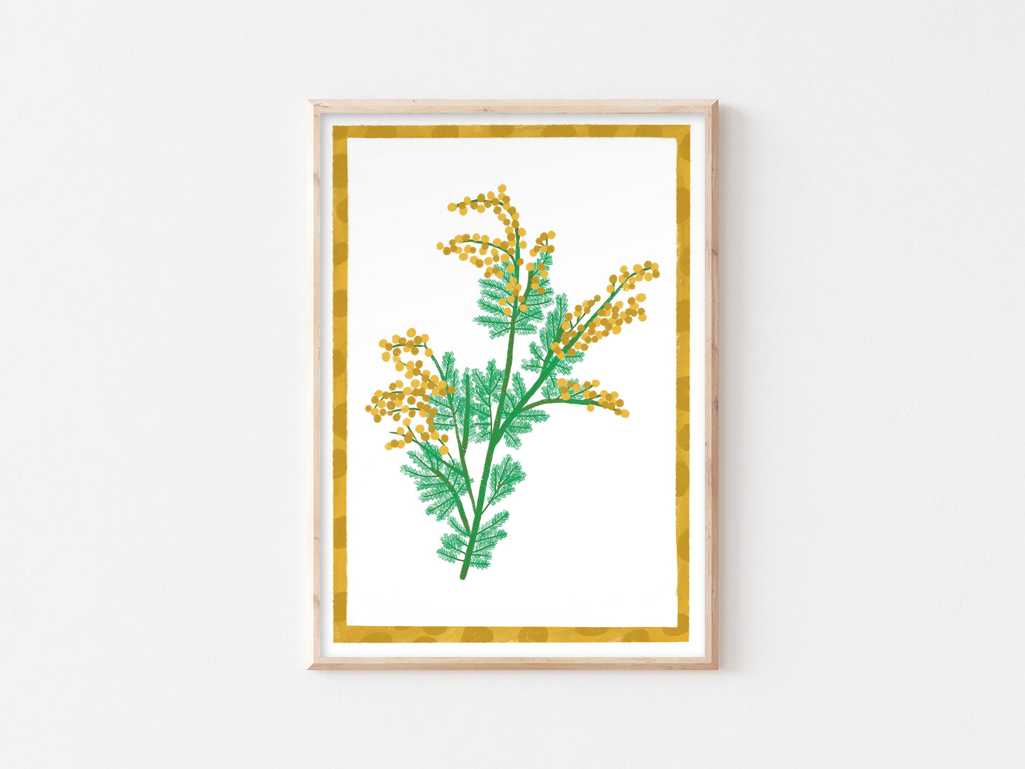 Australian Wildflower Print - Wattle