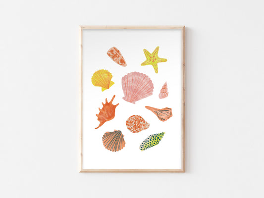 Seashell Illustration Print