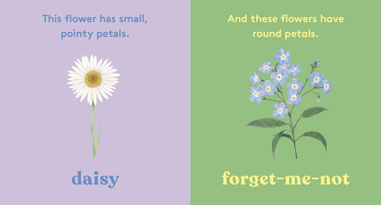 Look! A Flower! - Board Book