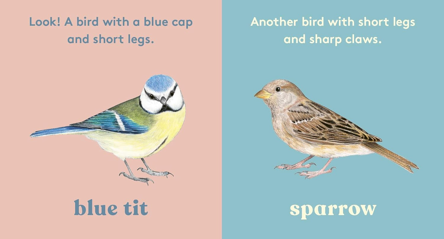 Look! A Bird! - Board Book