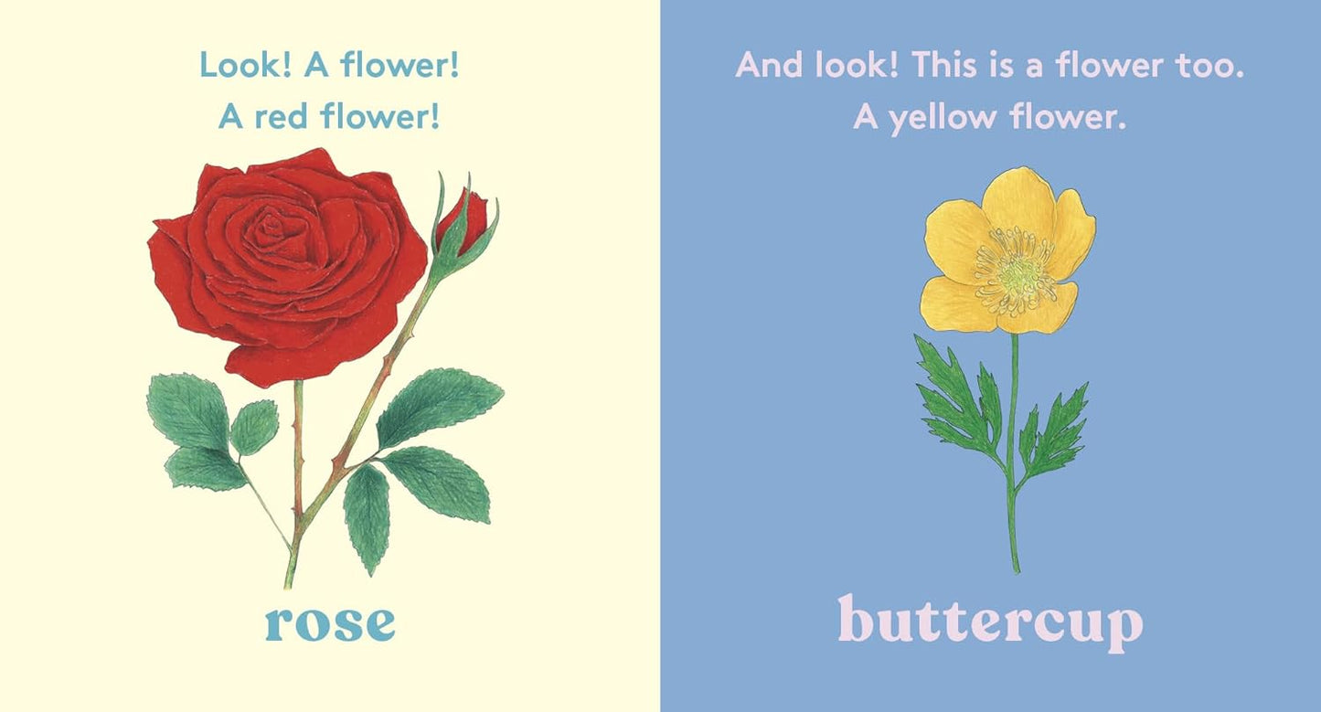 Look! A Flower! - Board Book
