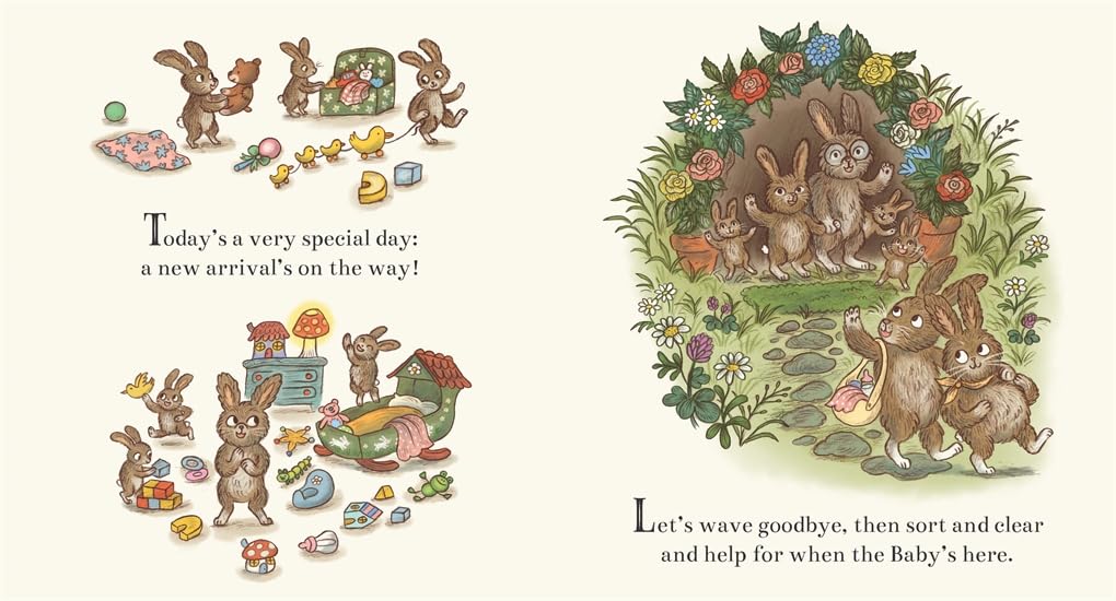 Brown Bear Wood: New Baby Bunny