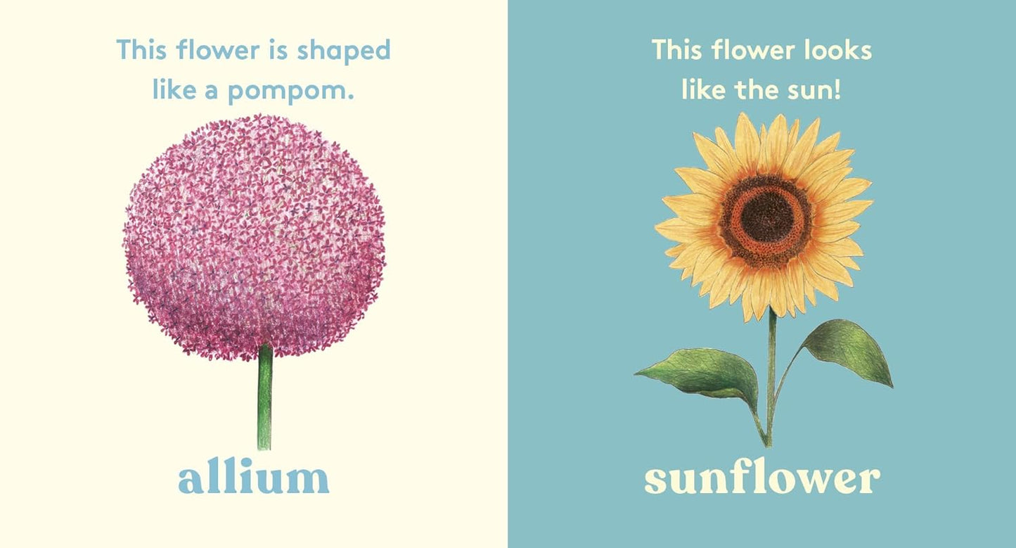 Look! A Flower! - Board Book