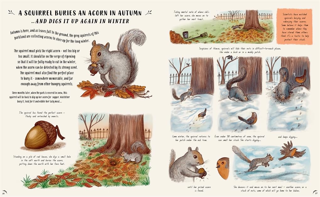 Slow Down: 50 Nature Stories