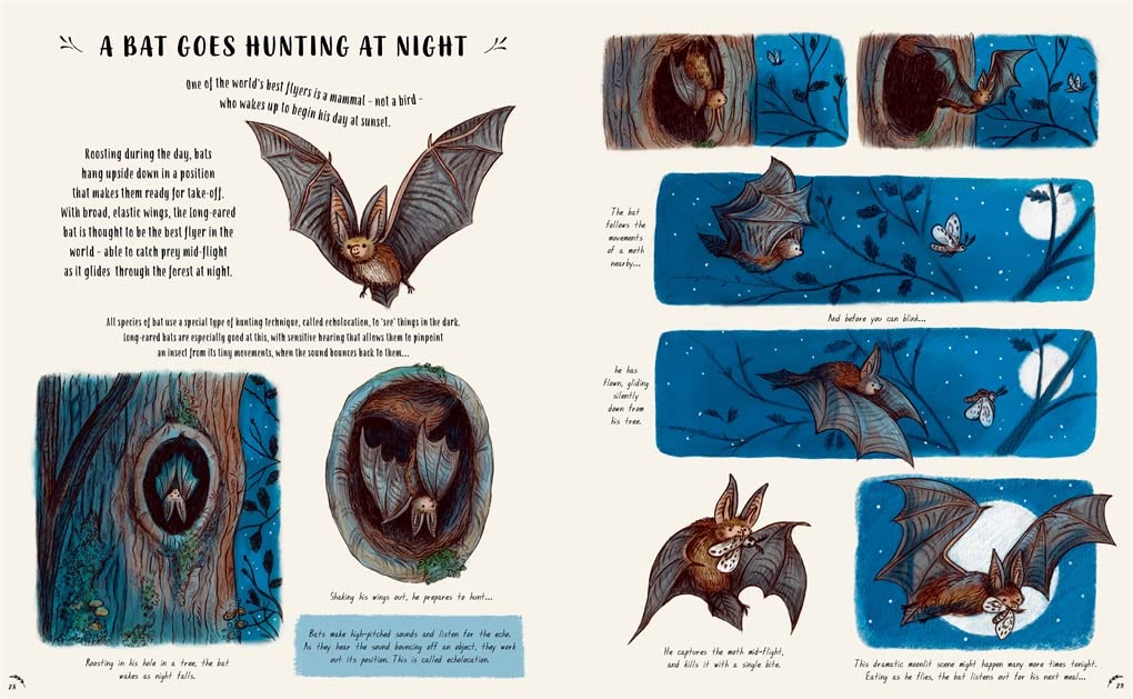 Slow Down: 50 Nature Stories