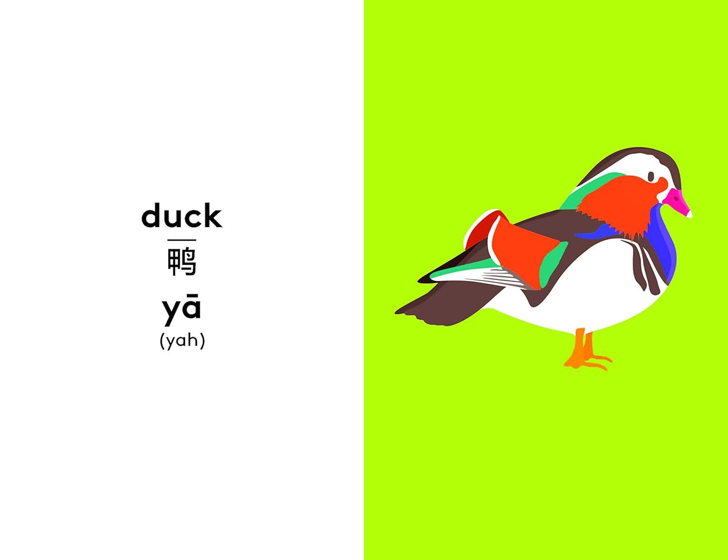 Lonely Planet Kids Mandarin First Words: 100 Words to Learn