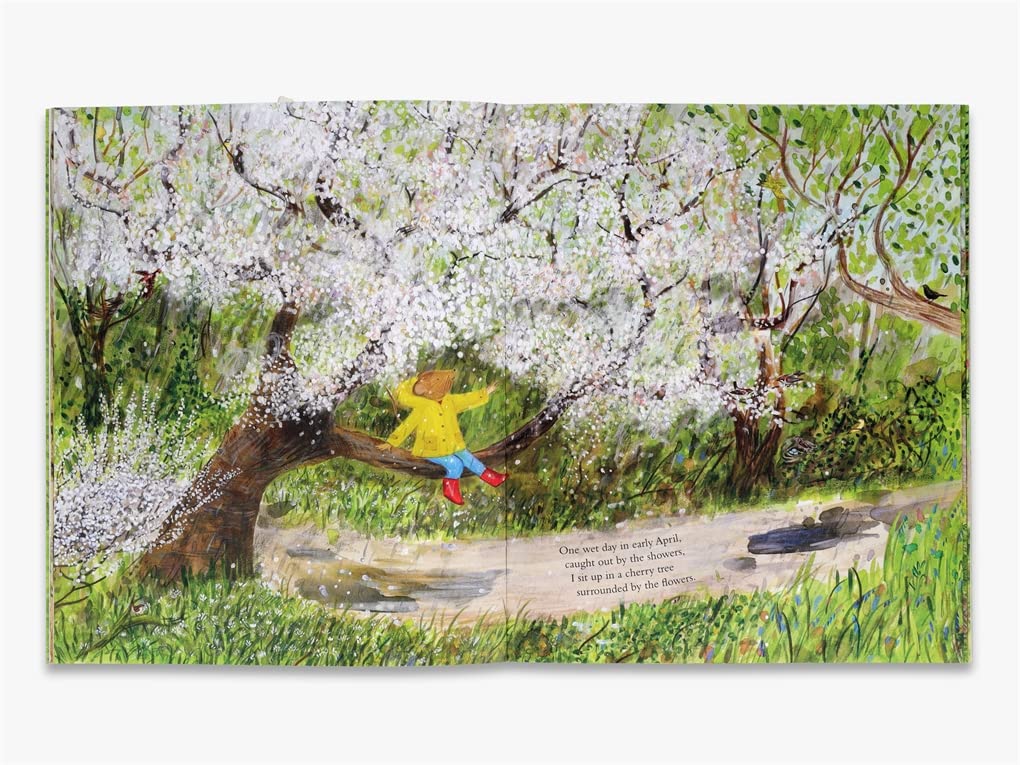 Mouse's Wood: A Year in Nature