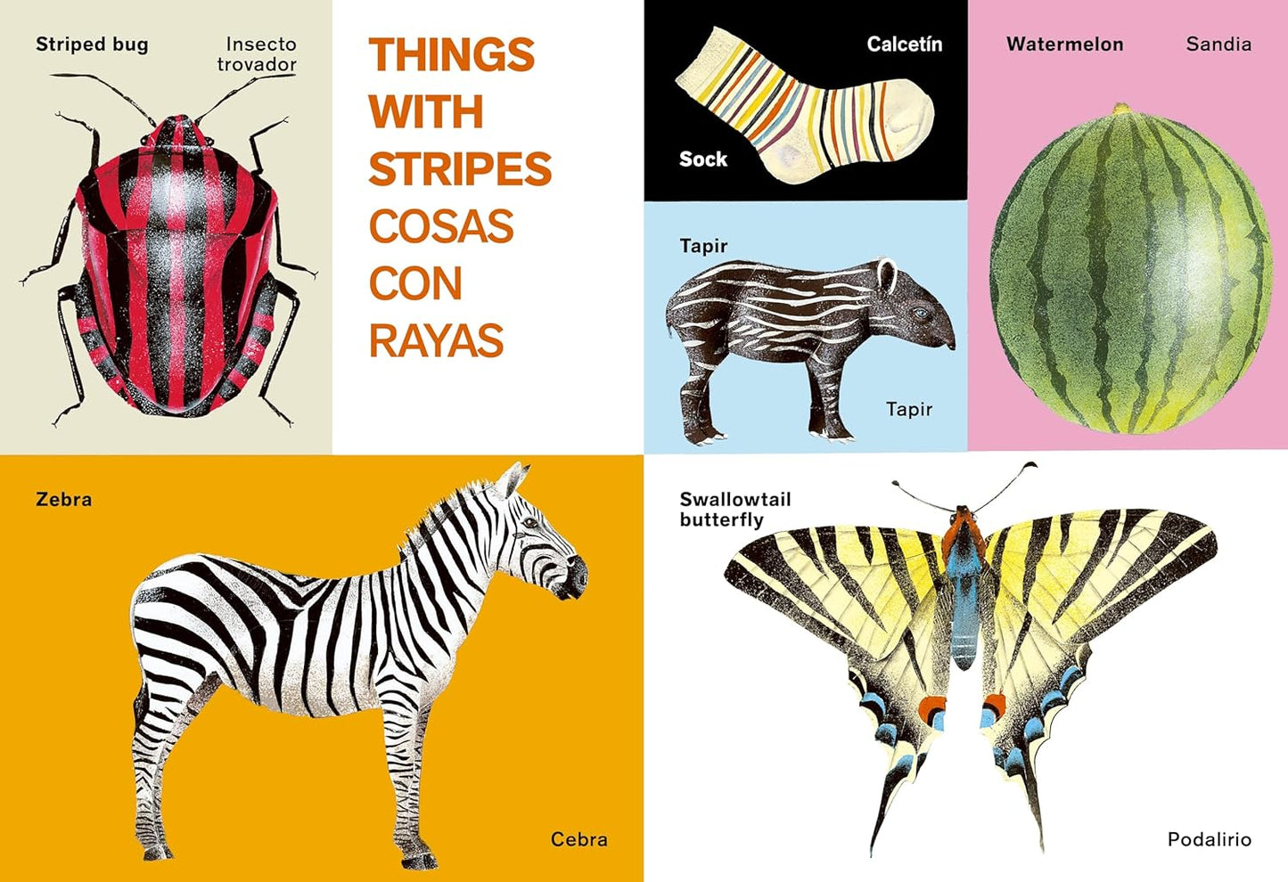 All Kinds of Things / Todo Tipo De Cosas