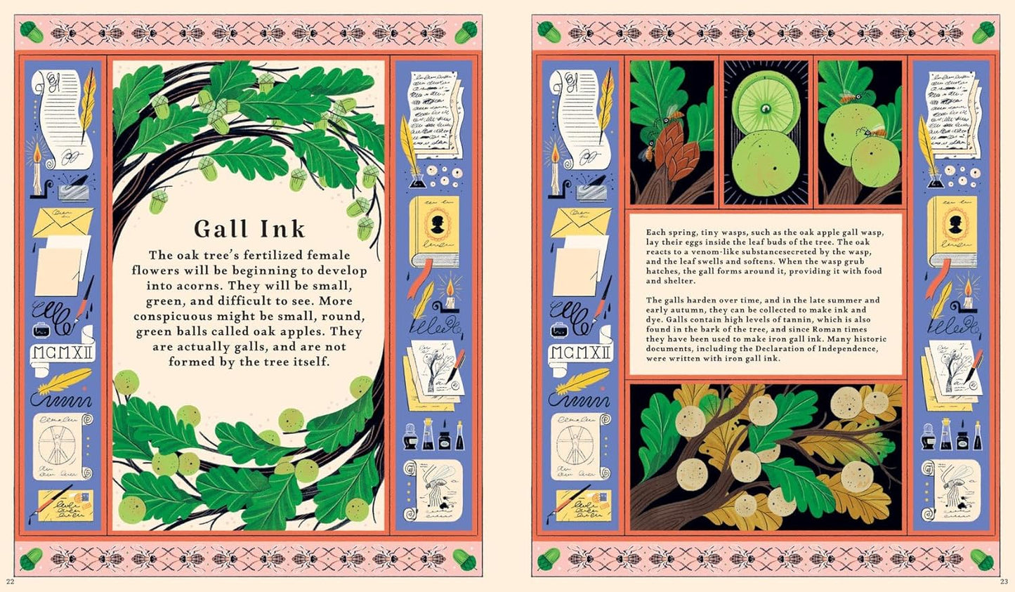 Woodlore: Seasons and stories of the forest