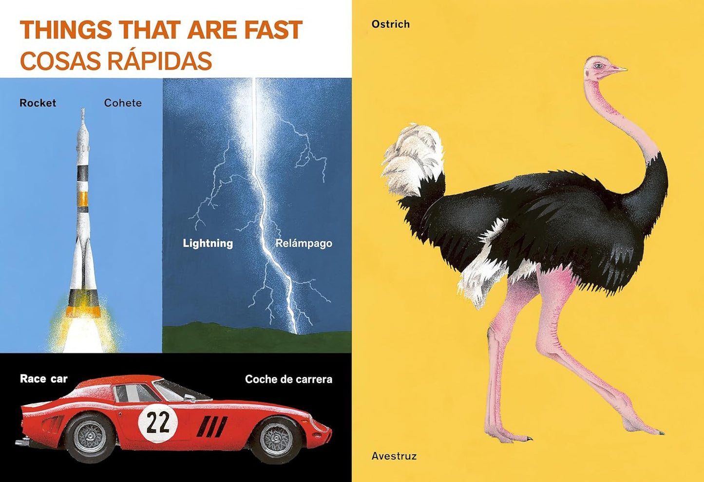 All Kinds of Things / Todo Tipo De Cosas