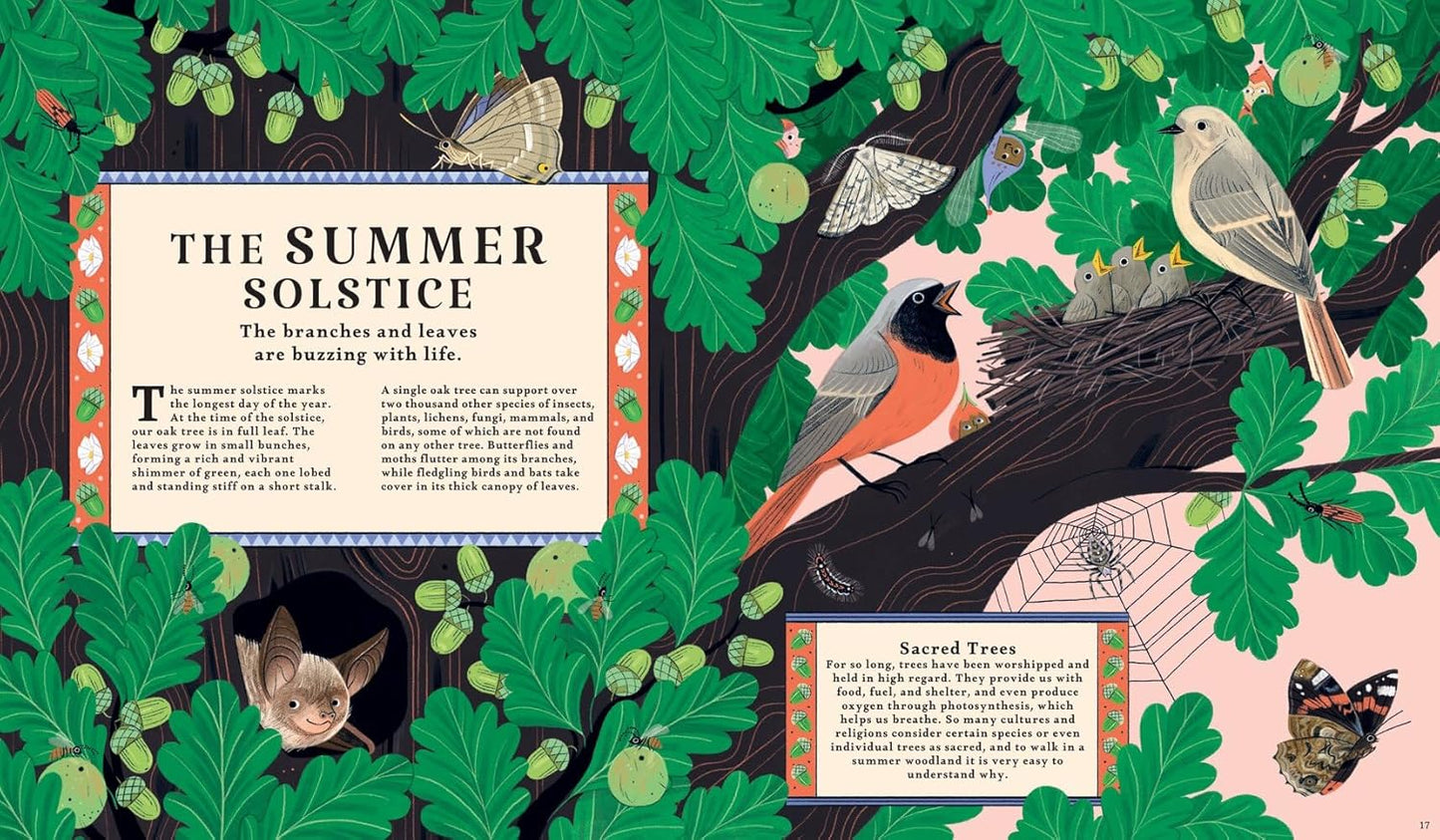 Woodlore: Seasons and stories of the forest