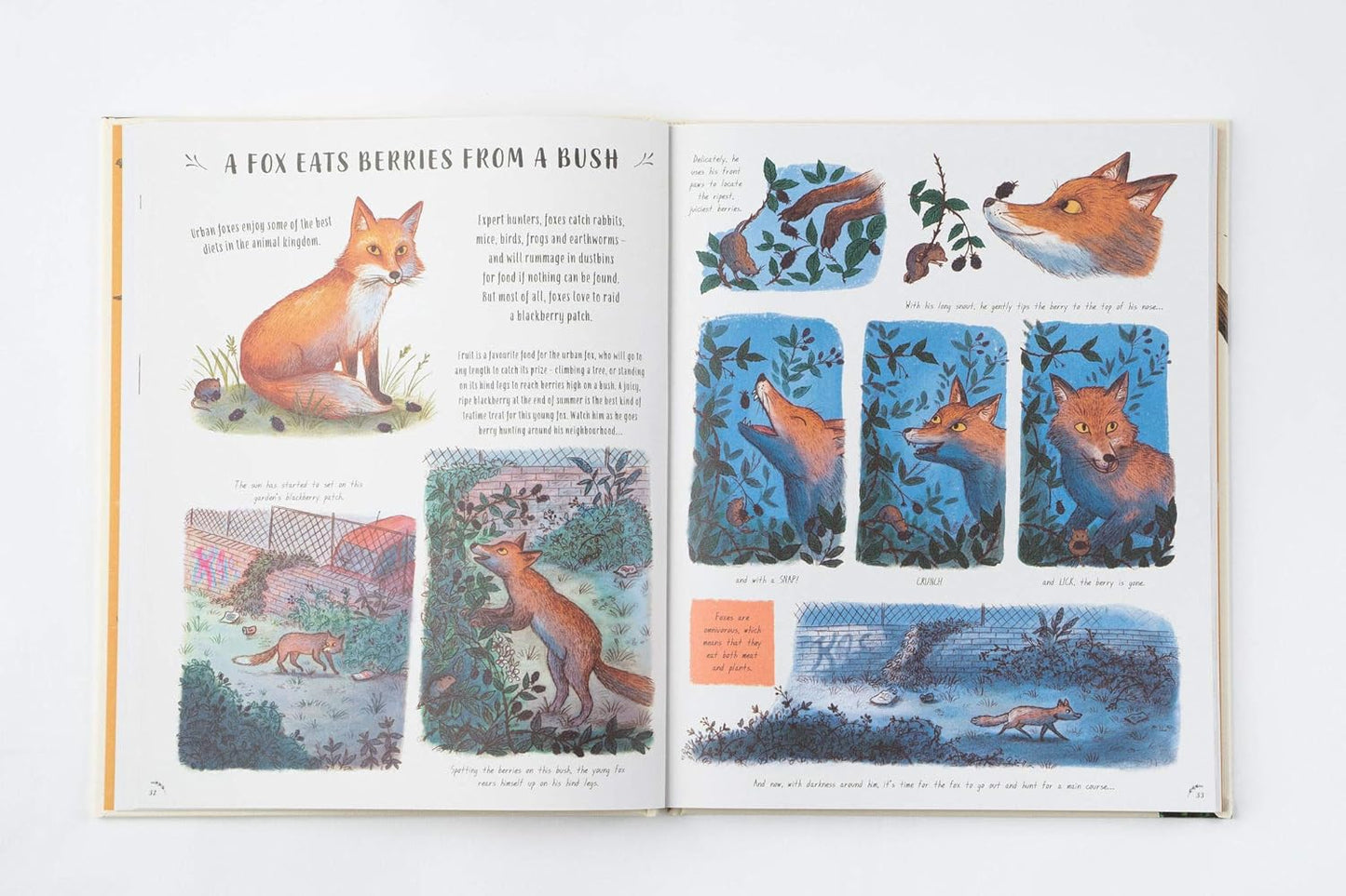 Slow Down: 50 Nature Stories