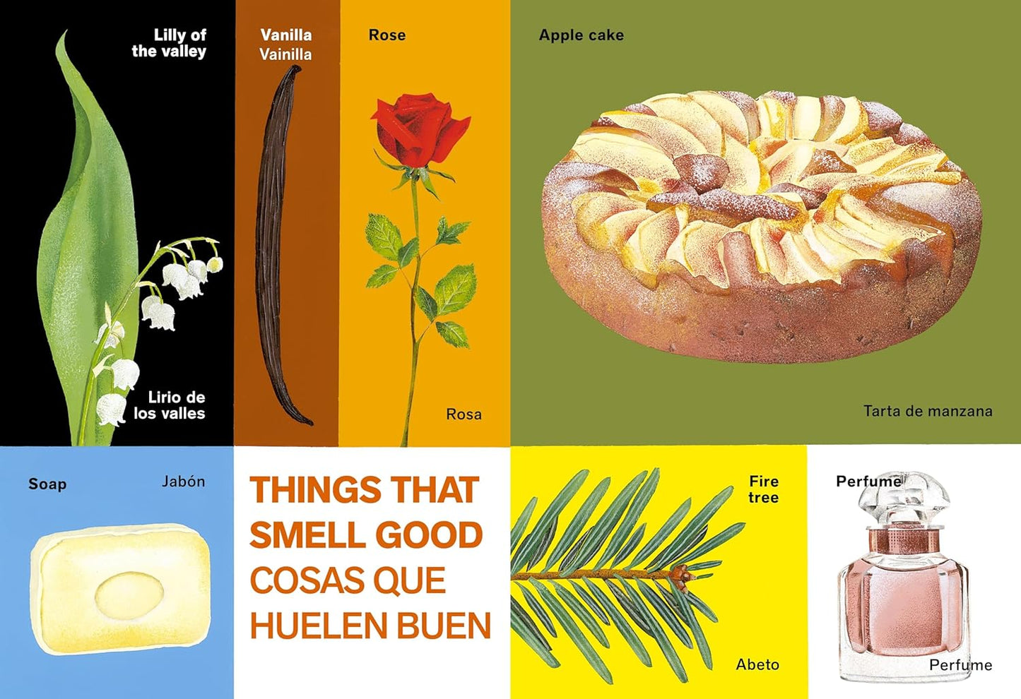 All Kinds of Things / Todo Tipo De Cosas