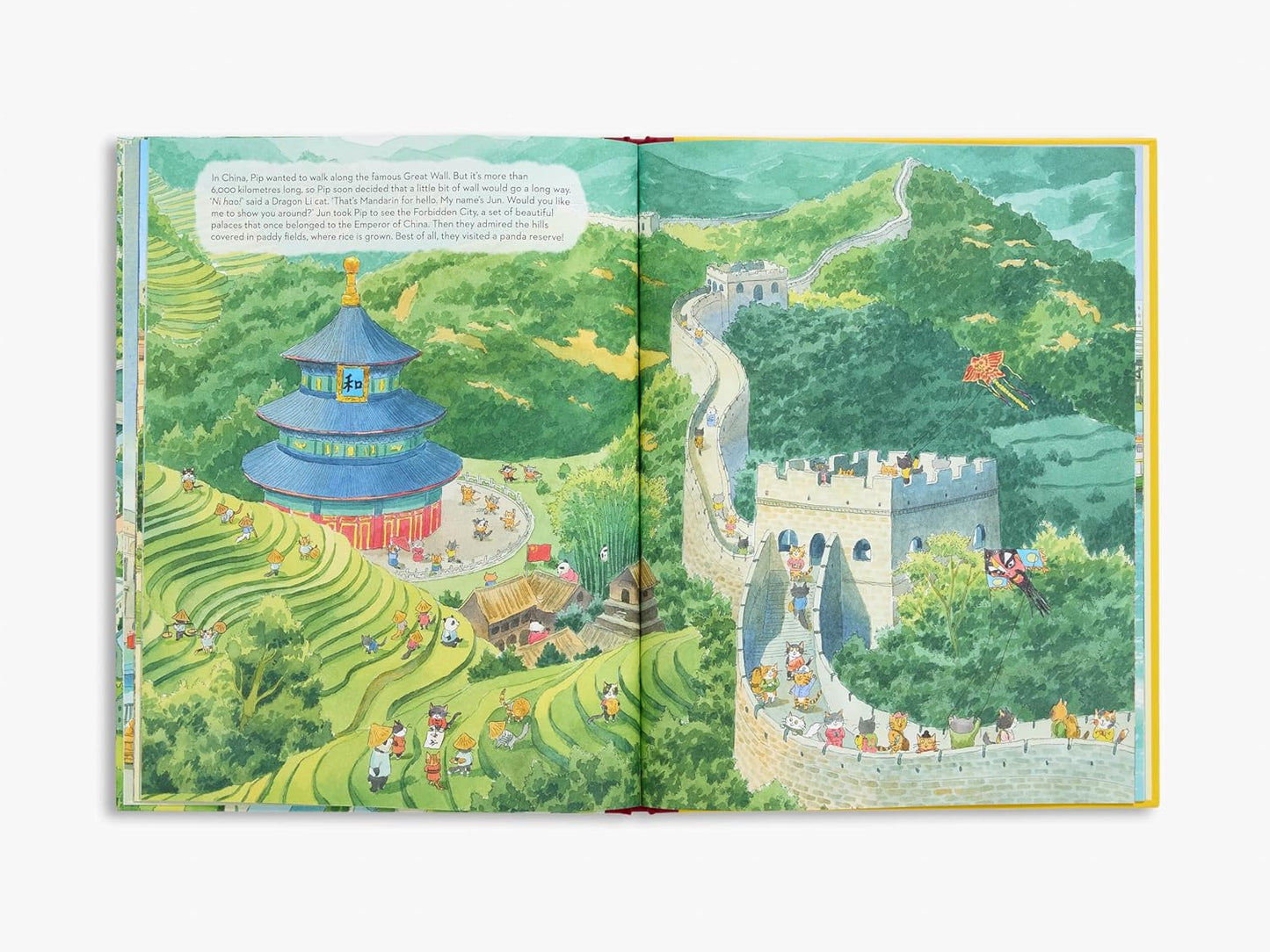 Pip's Trip Around the World