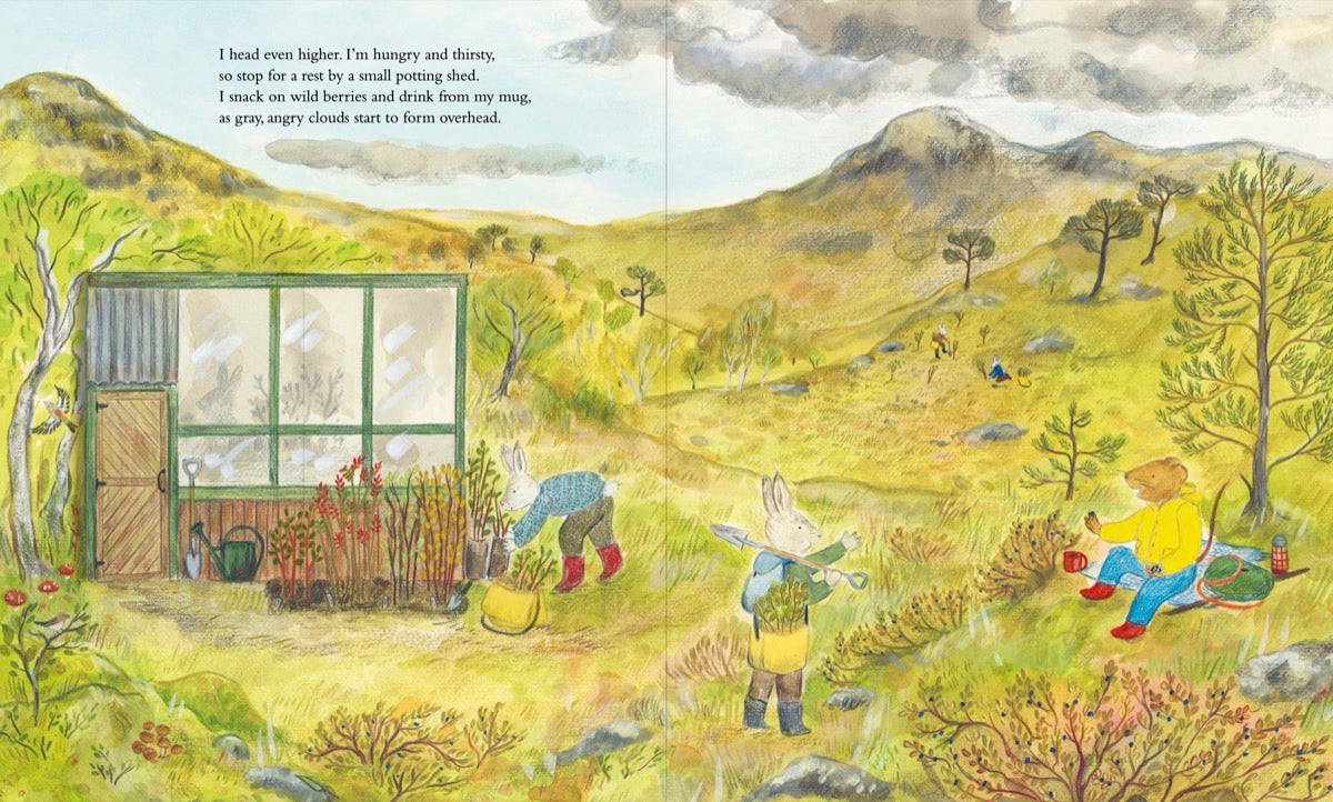 Mouse Goes to the Mountains: A Hike Through Nature - HARDBACK