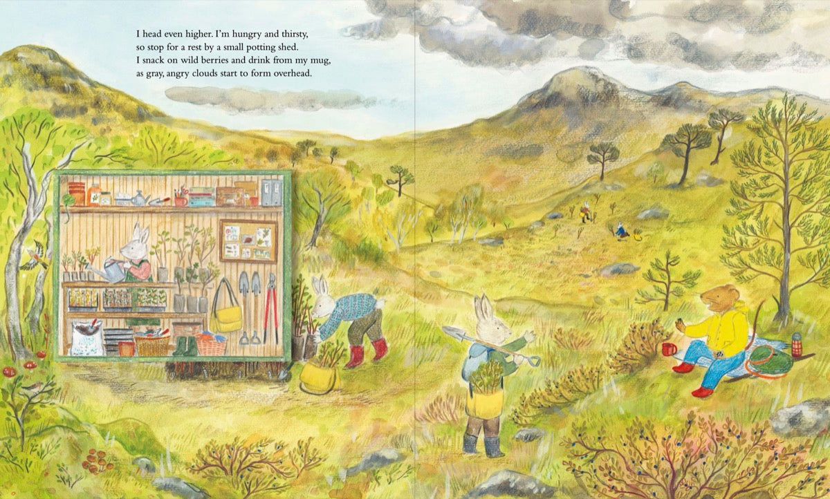 Mouse Goes to the Mountains: A Hike Through Nature - HARDBACK