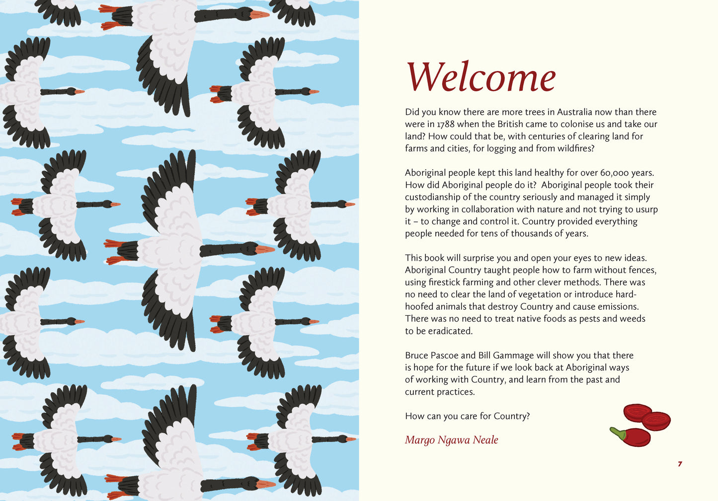 Caring for Country: First Knowledge