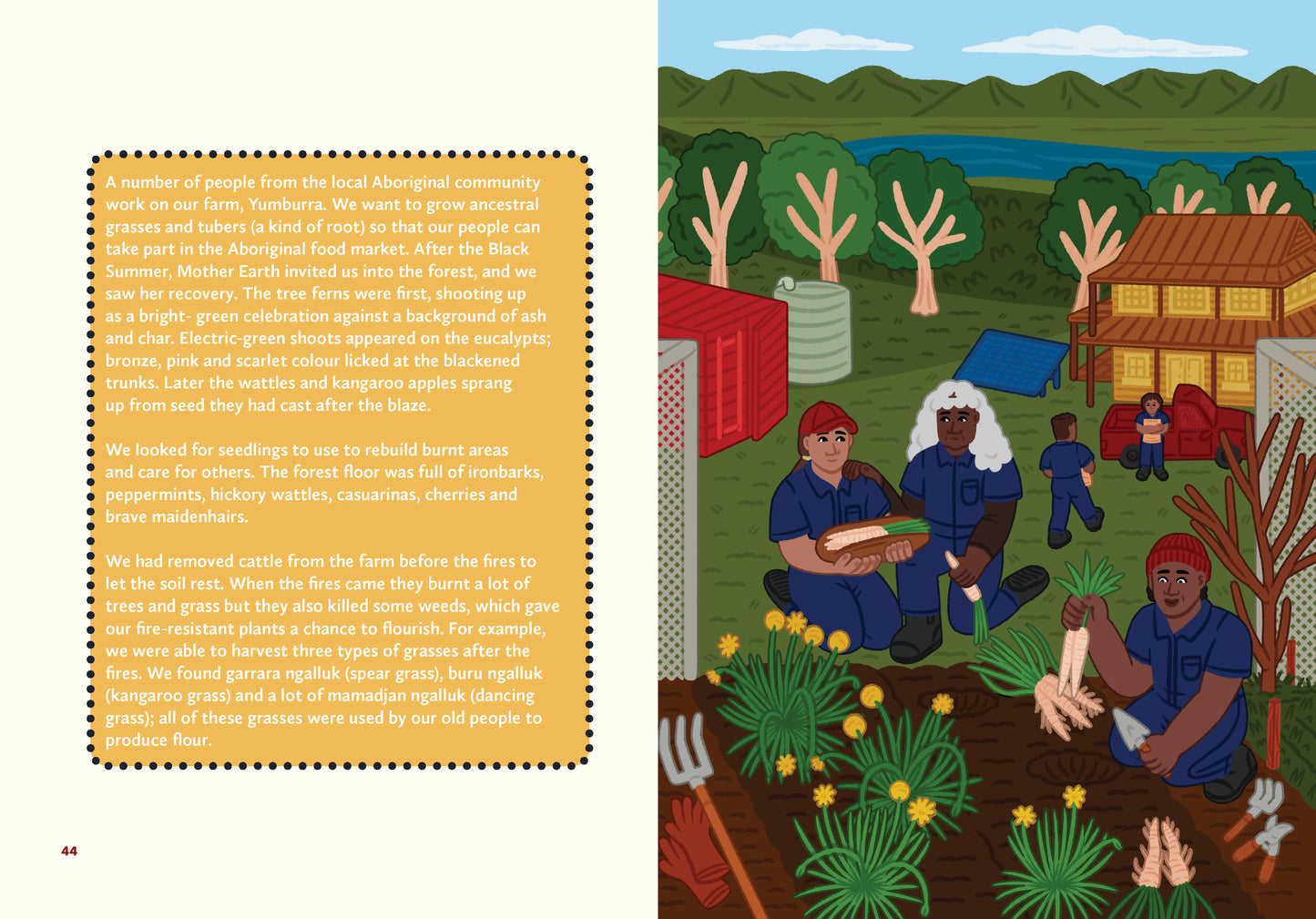 Caring for Country: First Knowledge