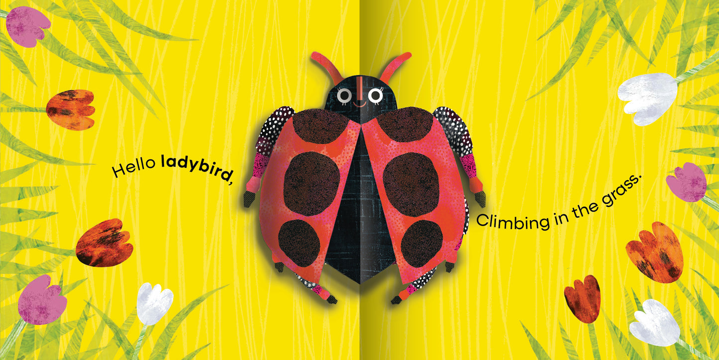 Bugs: My First Pop-Up