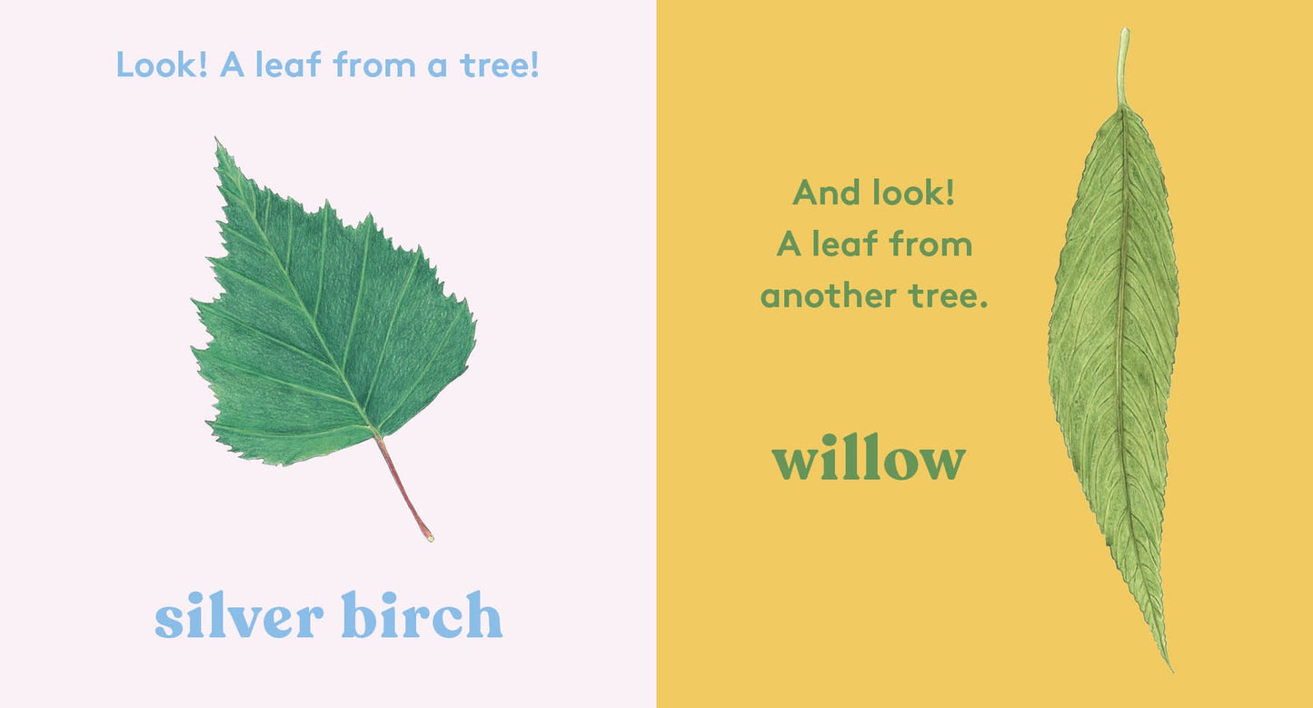 Look! A Tree! - Board Book