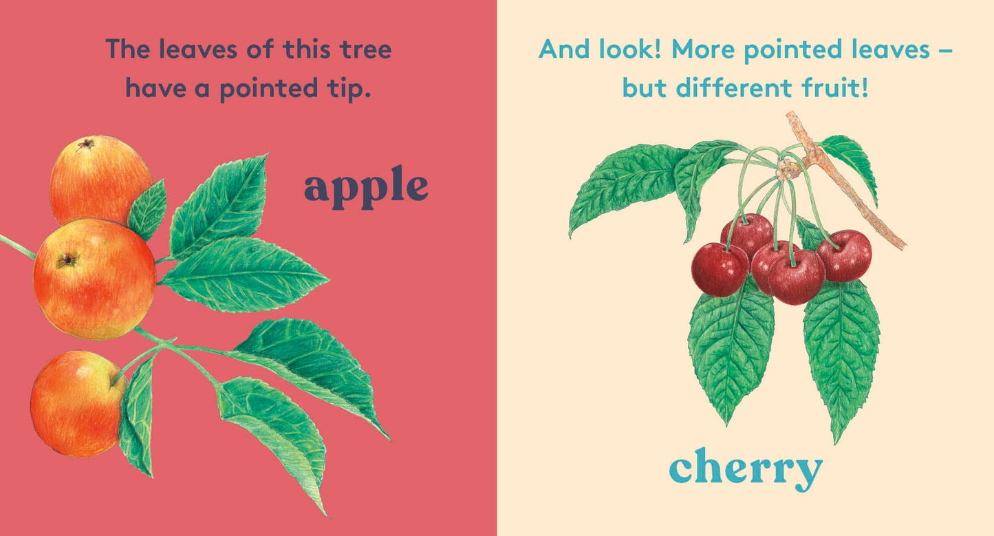 Look! A Tree! - Board Book
