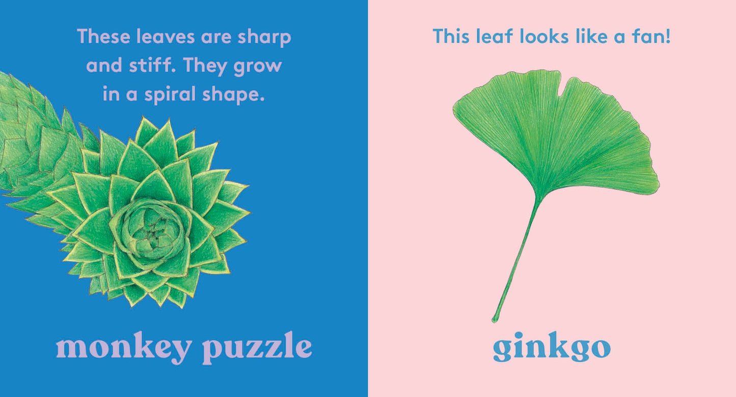 Look! A Tree! - Board Book