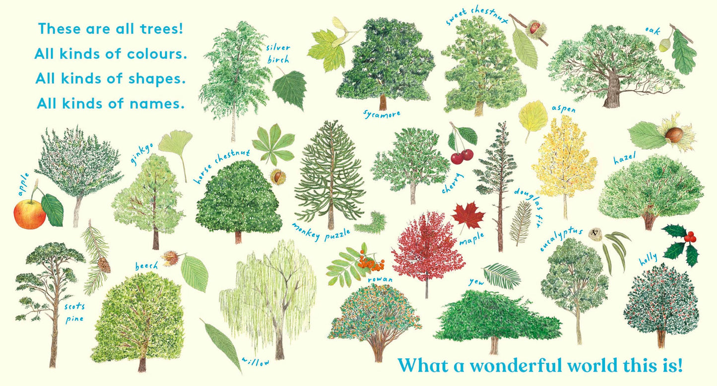 Look! A Tree! - Board Book