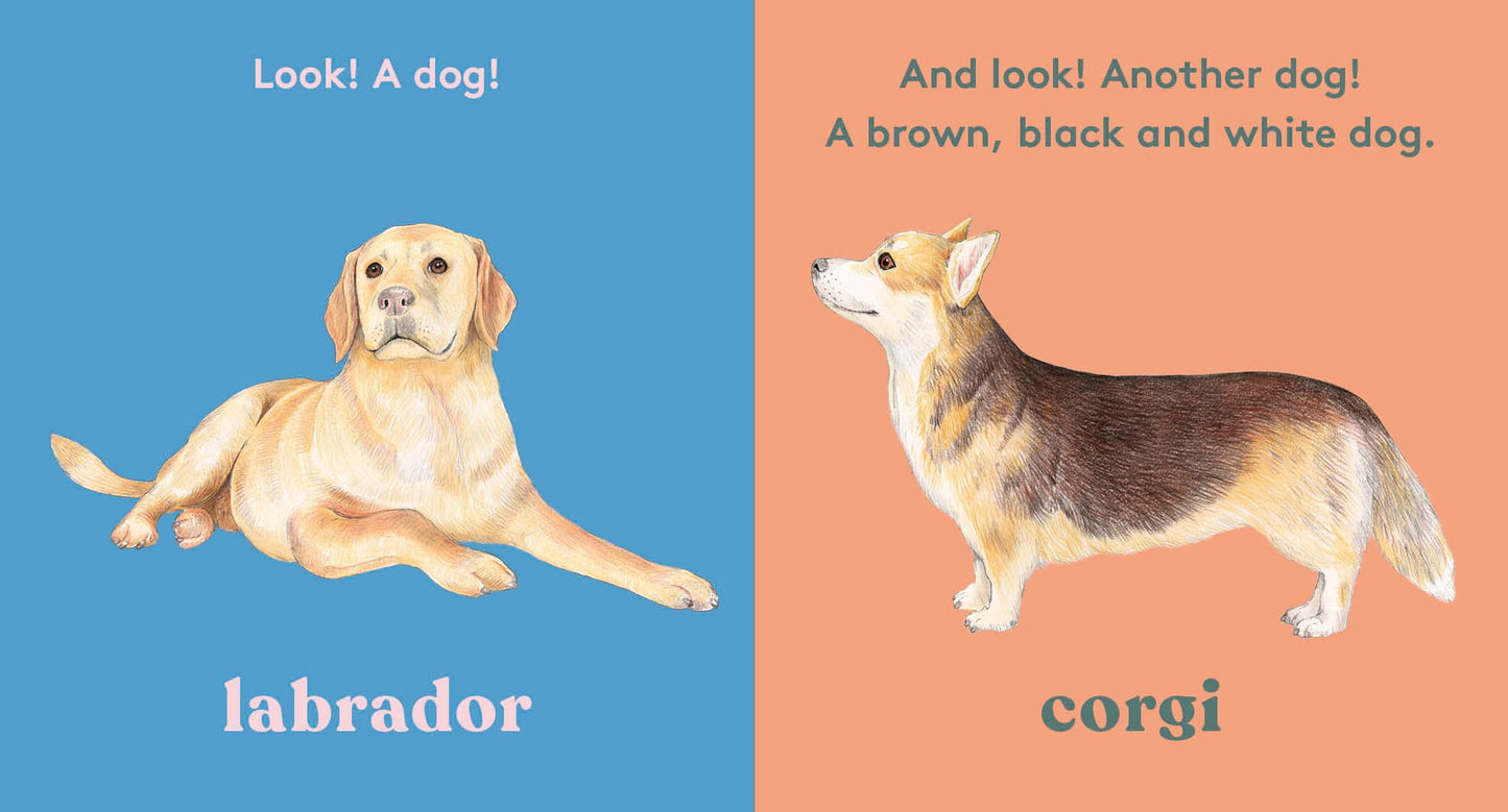 Look! A Dog! - Board Book