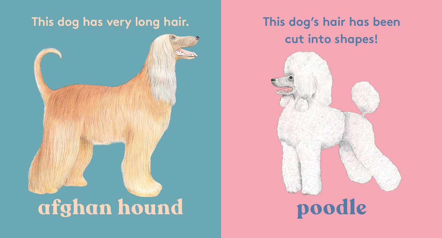 Look! A Dog! - Board Book