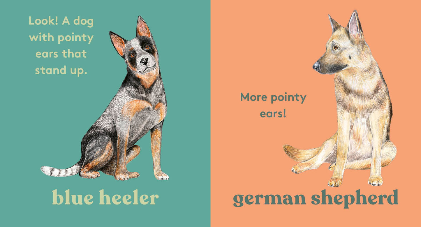 Look! A Dog! - Board Book