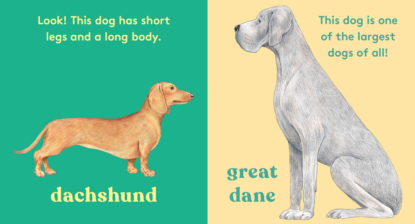 Look! A Dog! - Board Book