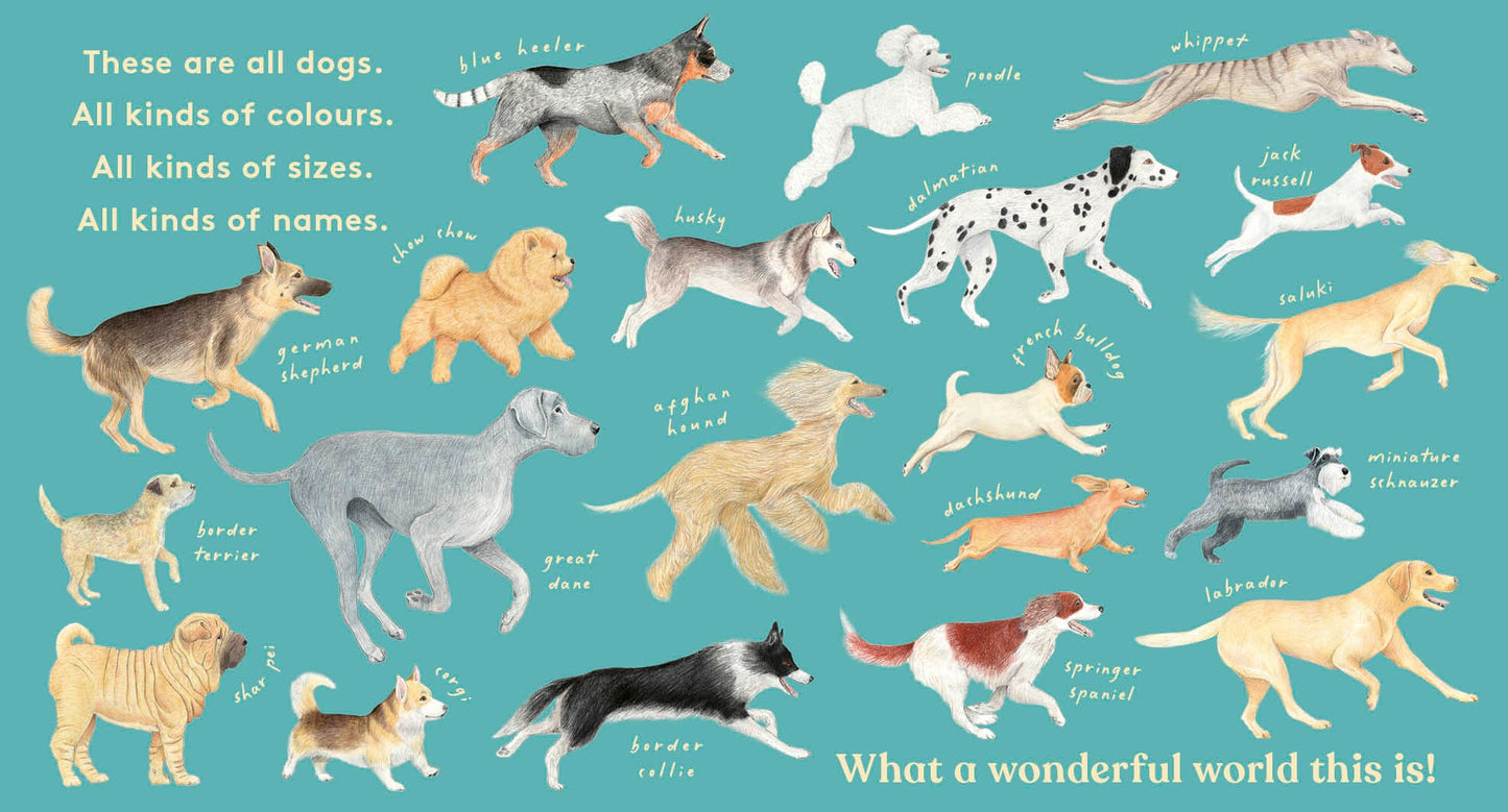 Look! A Dog! - Board Book
