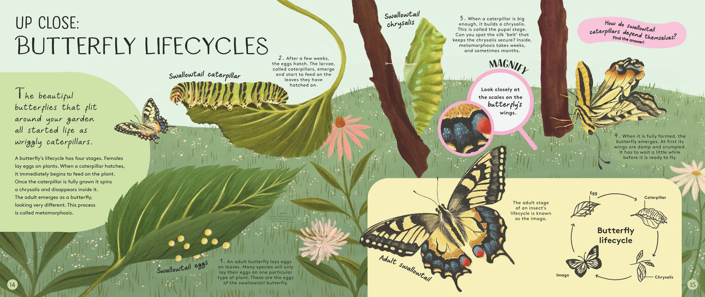 Minibeasts: Under the Magnifying Glass