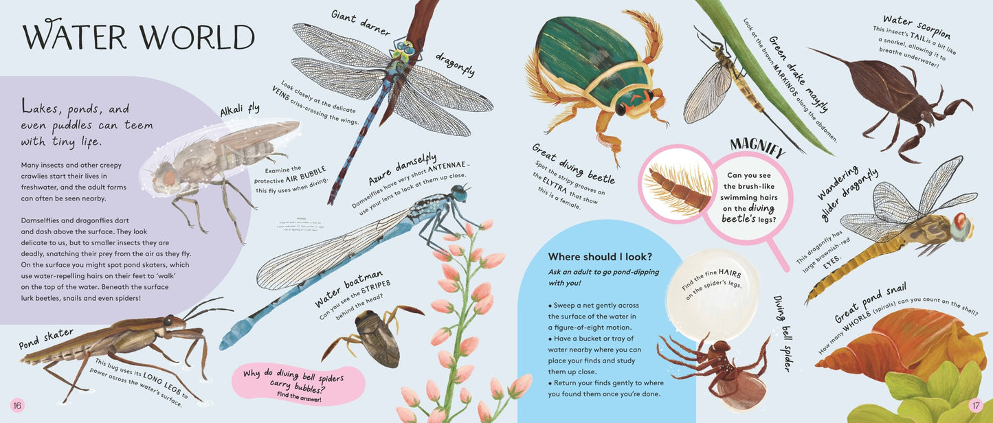 Minibeasts: Under the Magnifying Glass