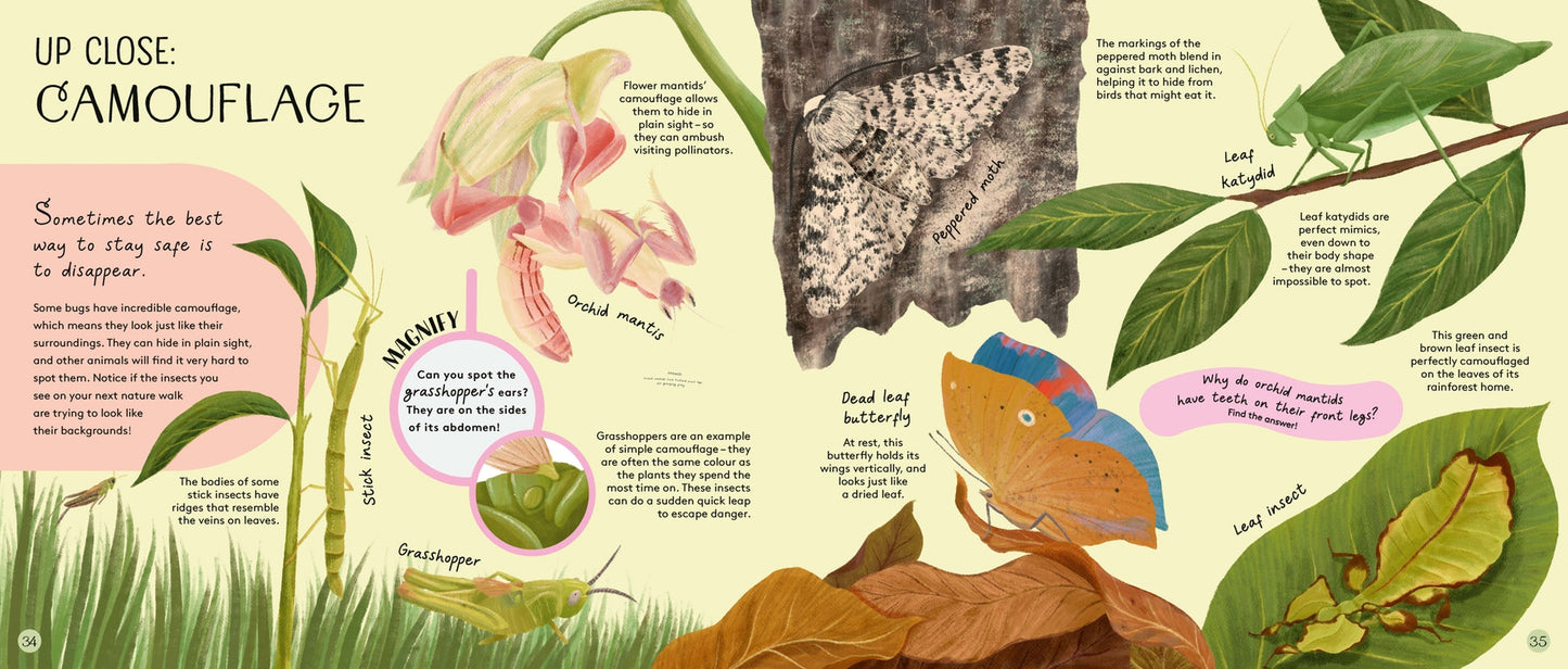 Minibeasts: Under the Magnifying Glass