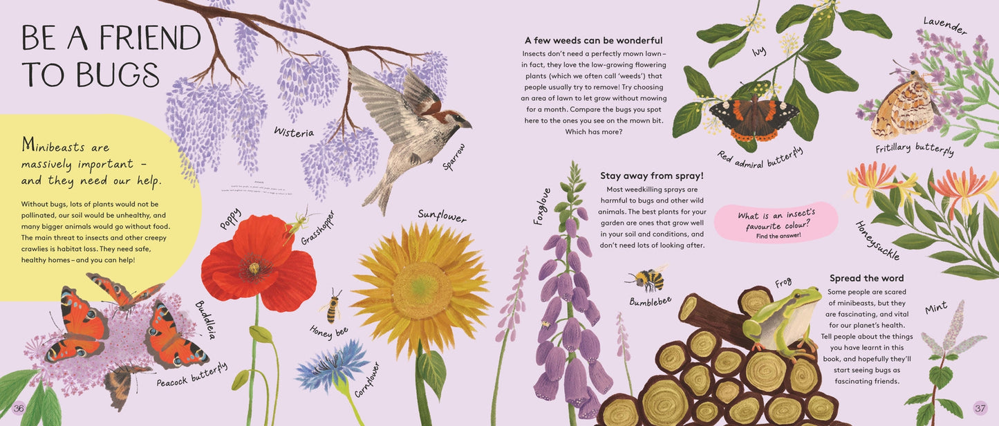 Minibeasts: Under the Magnifying Glass