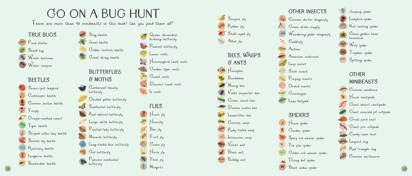 Minibeasts: Under the Magnifying Glass