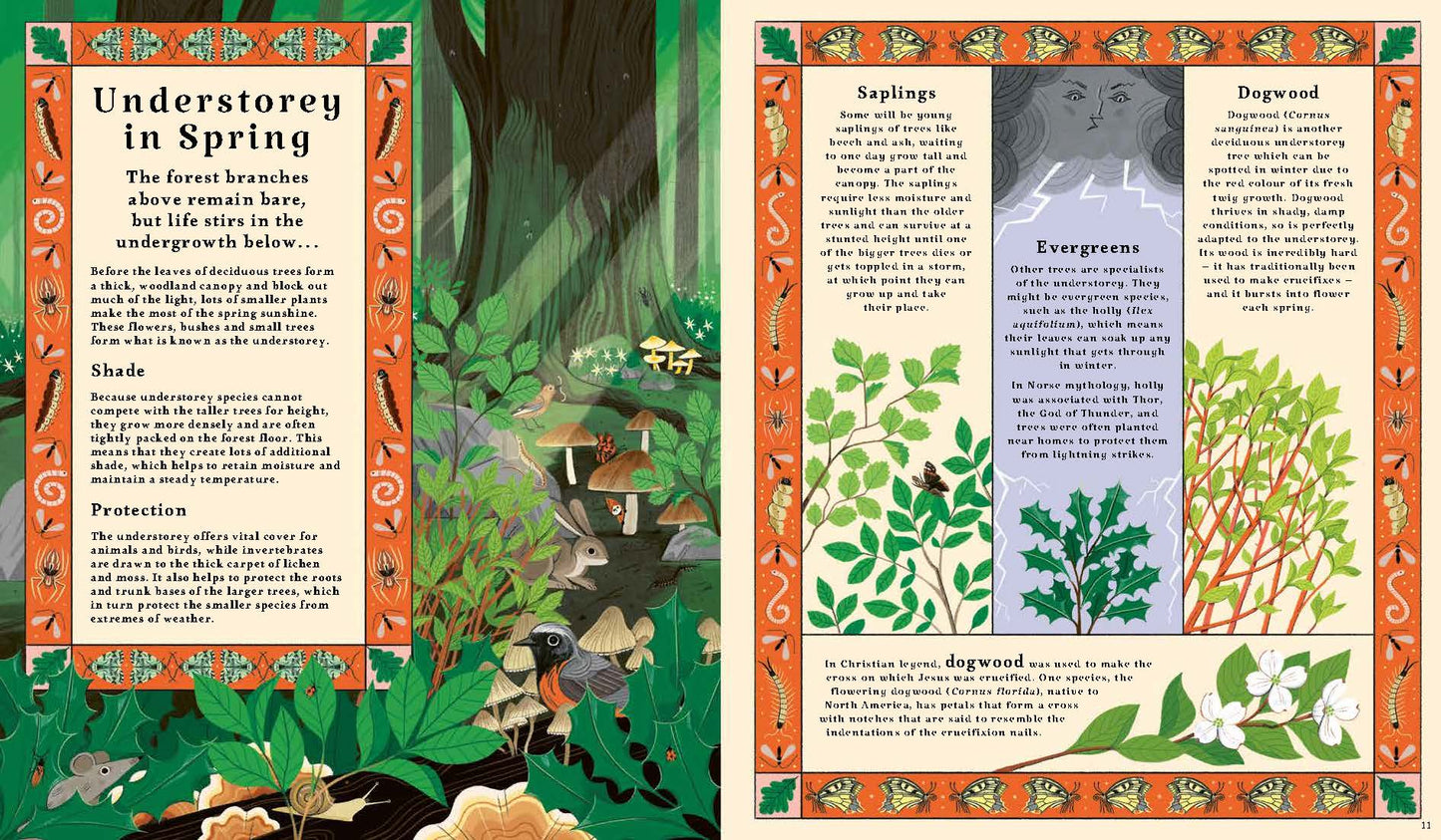 Woodlore: Seasons and stories of the forest