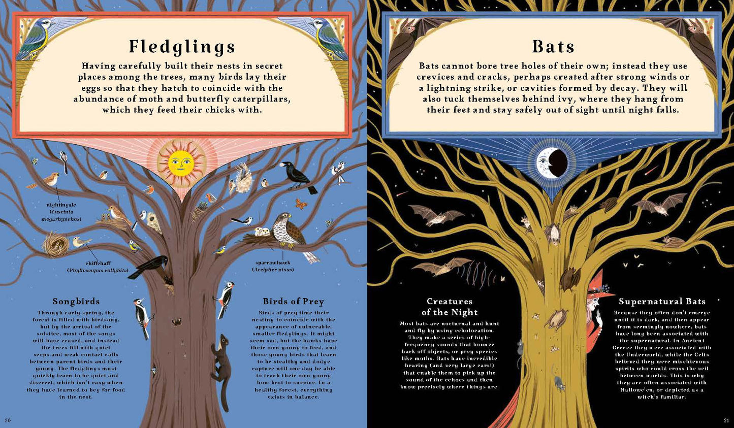 Woodlore: Seasons and stories of the forest