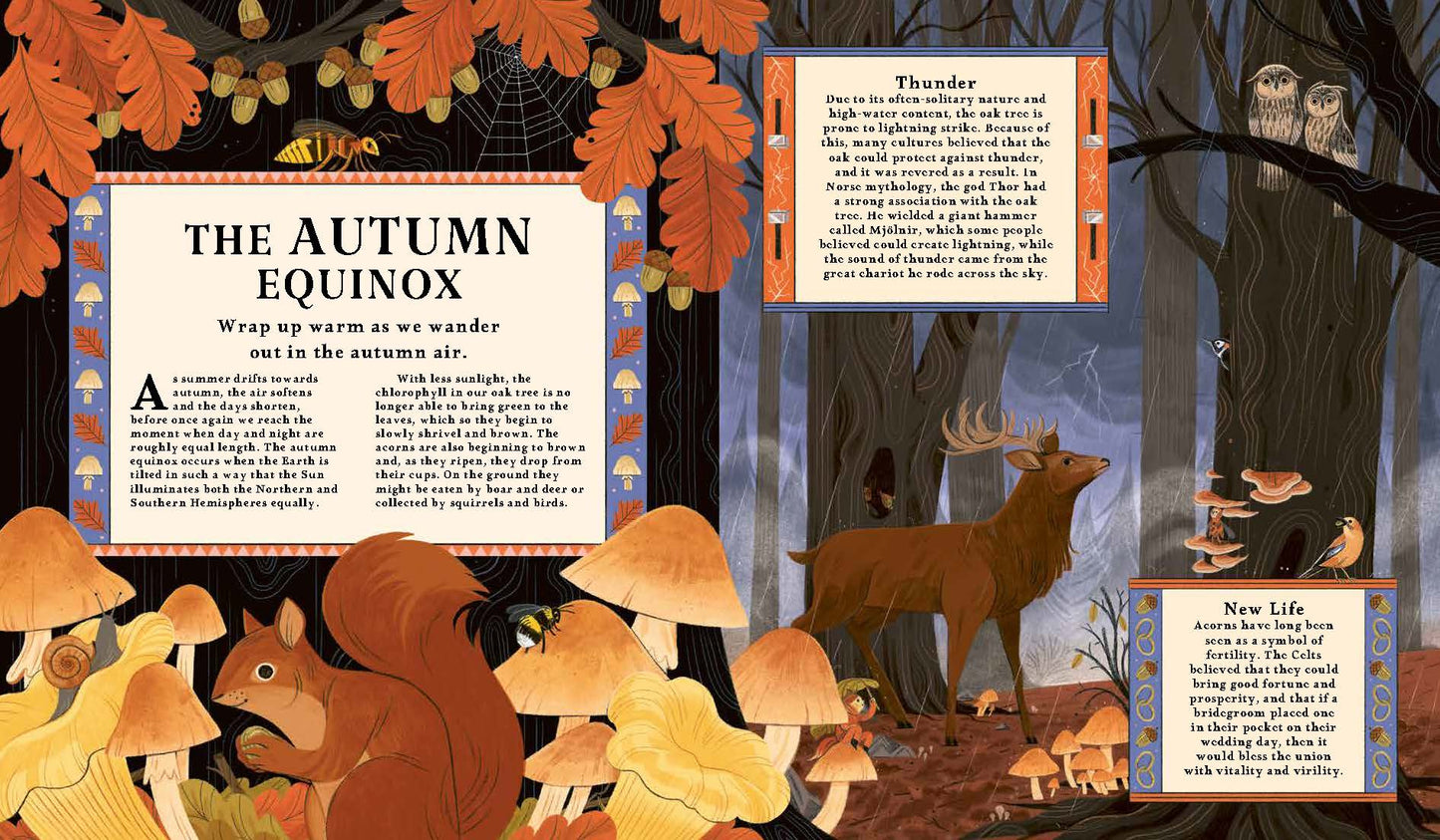 Woodlore: Seasons and stories of the forest