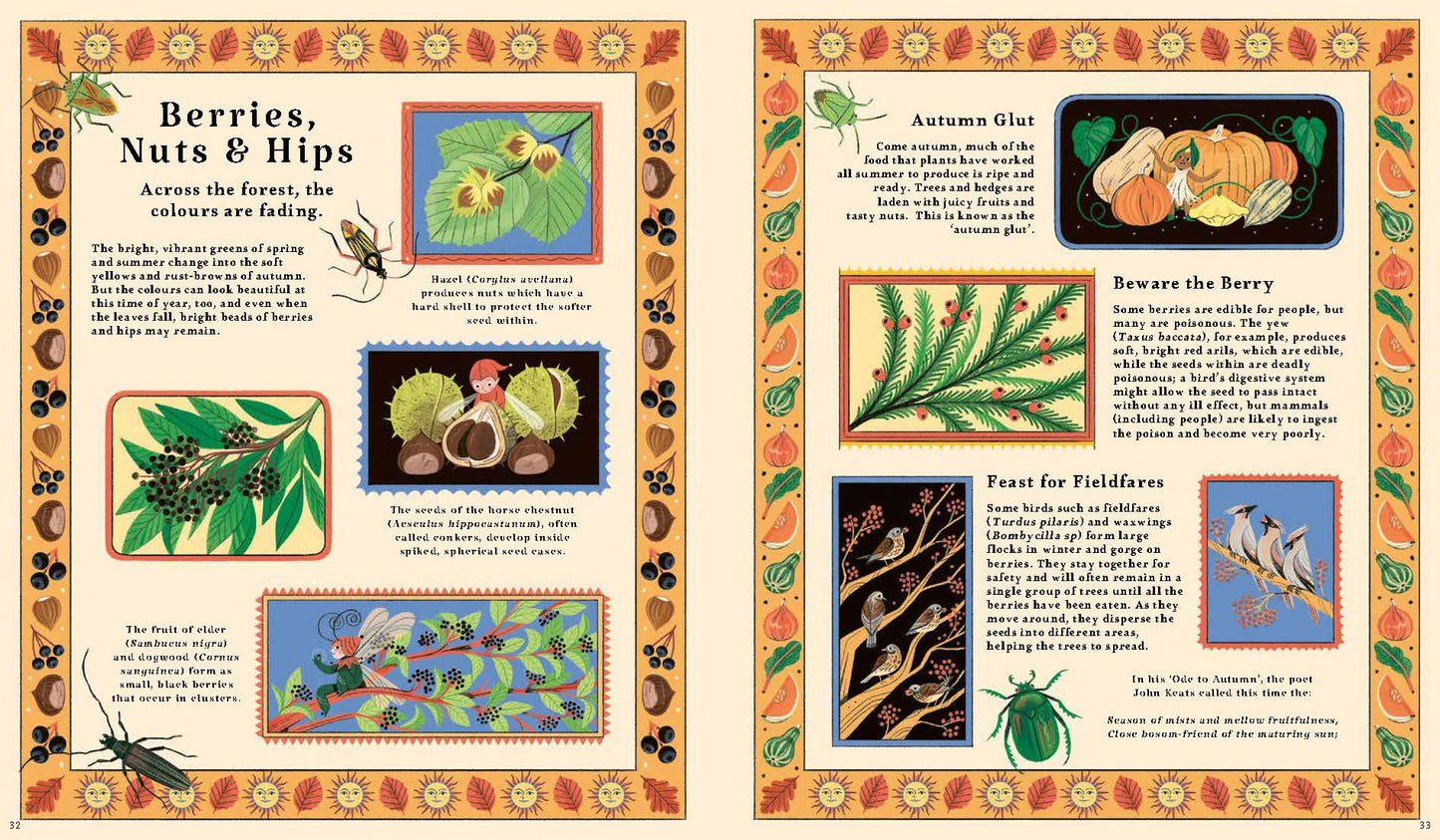 Woodlore: Seasons and stories of the forest