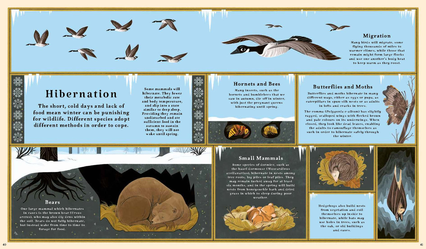 Woodlore: Seasons and stories of the forest